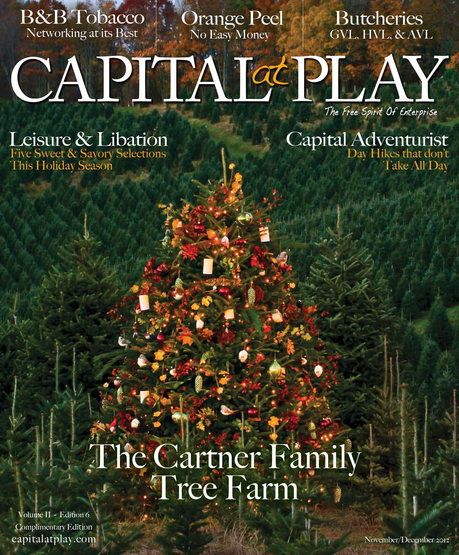 Capital at Play cover