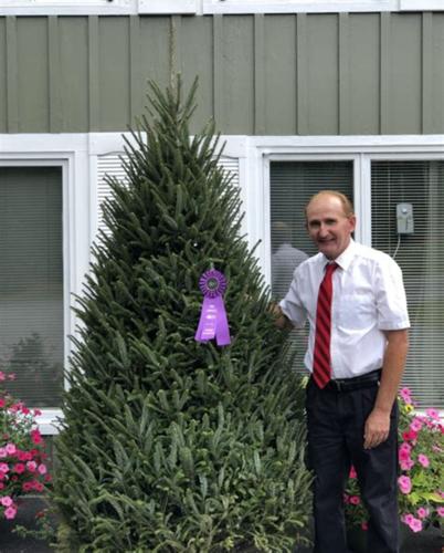 Ronnie Beam, farm manager for more than 30 years, with a grand champion tree he picked out for state competition.