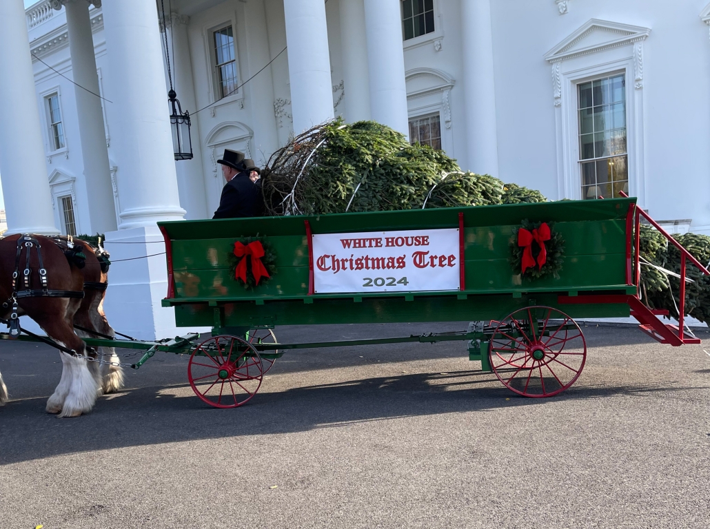 White House Christmas Tree