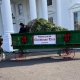 White House Christmas Tree